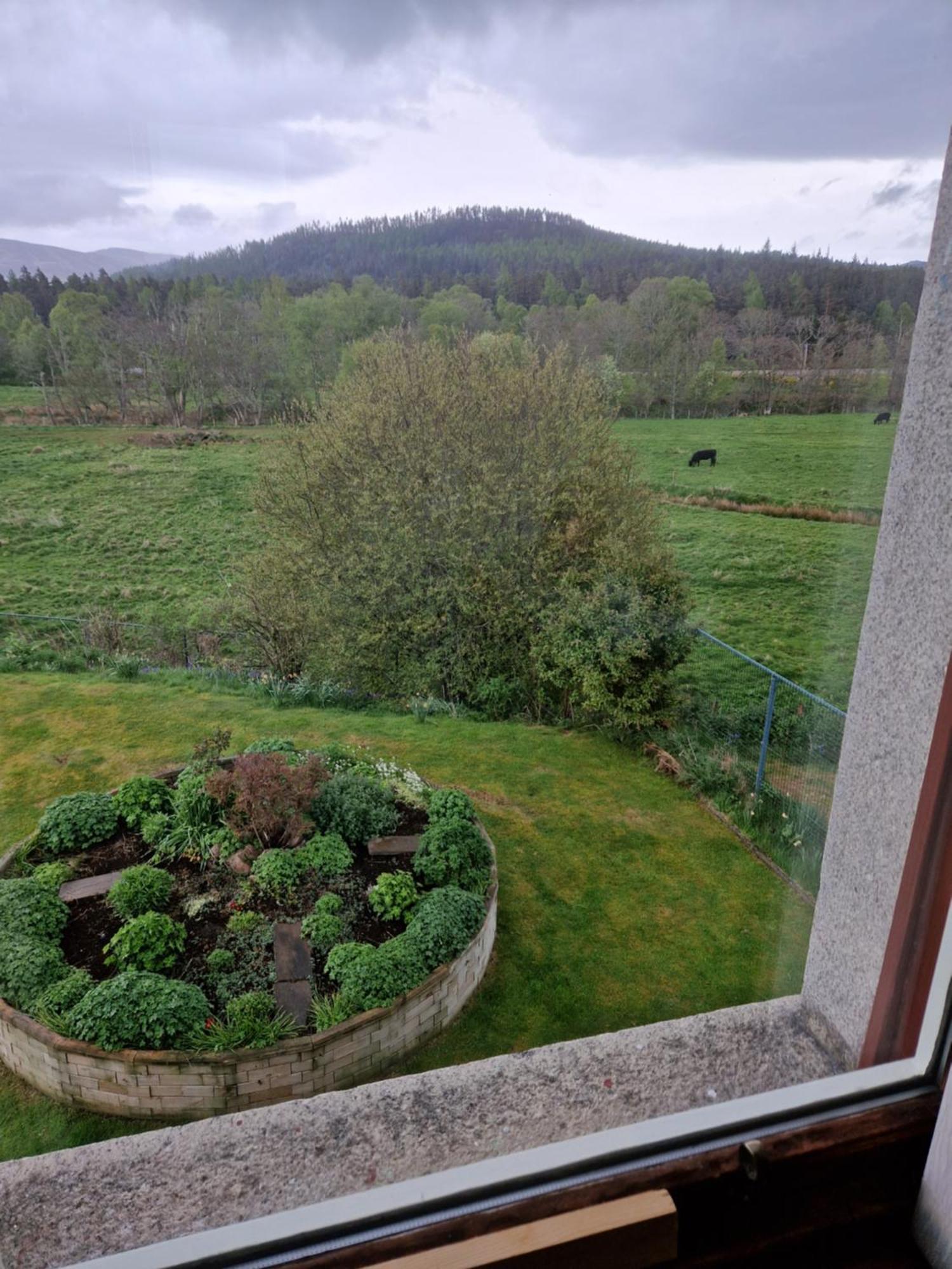 Creag Meggan Bed and Breakfast Ballater Rum bild